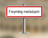 Diagnostiqueur Freyming Merlebach